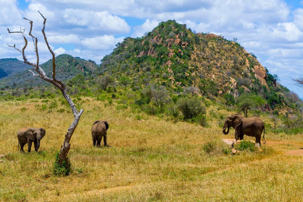 Ngulia Safari Lodge Tsavo Экстерьер фото